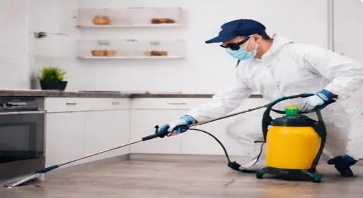 pest control technician spraying inside a home in Allen, TX